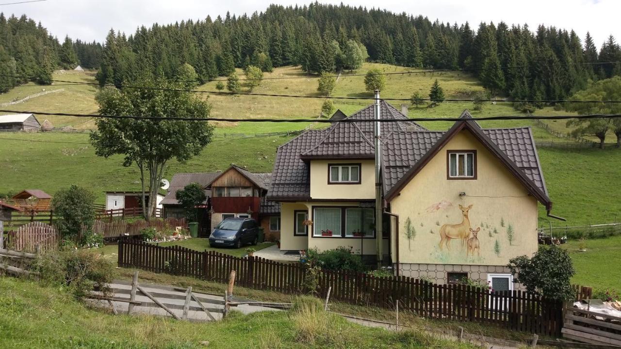 Casa Marcela Fundata Eksteriør bilde